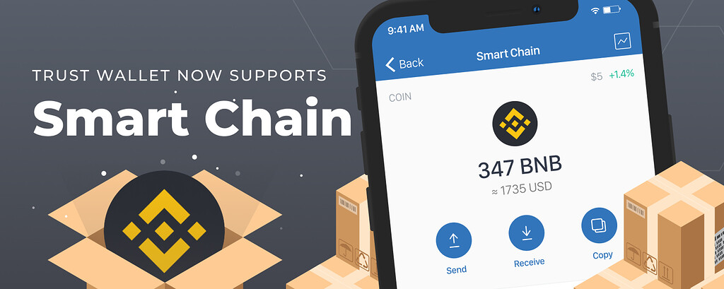 binance smart chain wallet app download