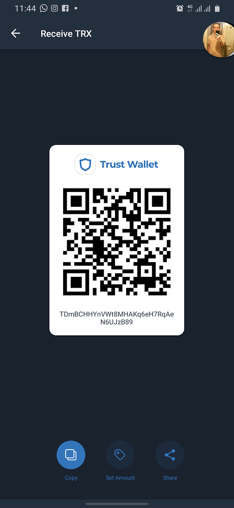 unable-to-transfer-usdt-trc20-10-by-zachzwei-english-trust-wallet