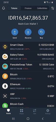 Trust Wallet Before Swapping BNB