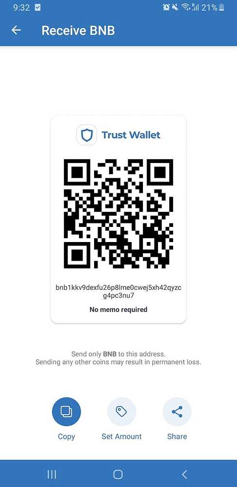 I’ve sent BNB from CoinSpot to my Trust Wallet but it hasn’t been