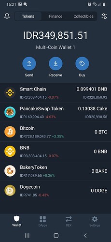 Trust Wallet After Swapping BNB