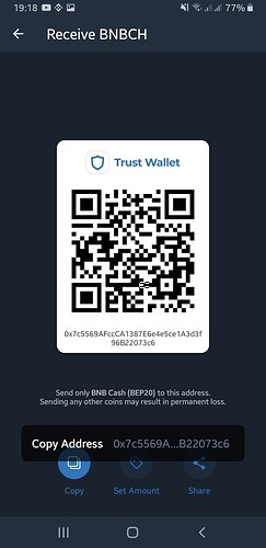 Screenshot_20211213-191839_Trust Wallet