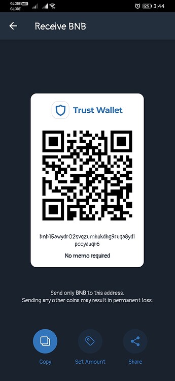 I accidentally sent usdt to my bnb address - English - Trust Wallet