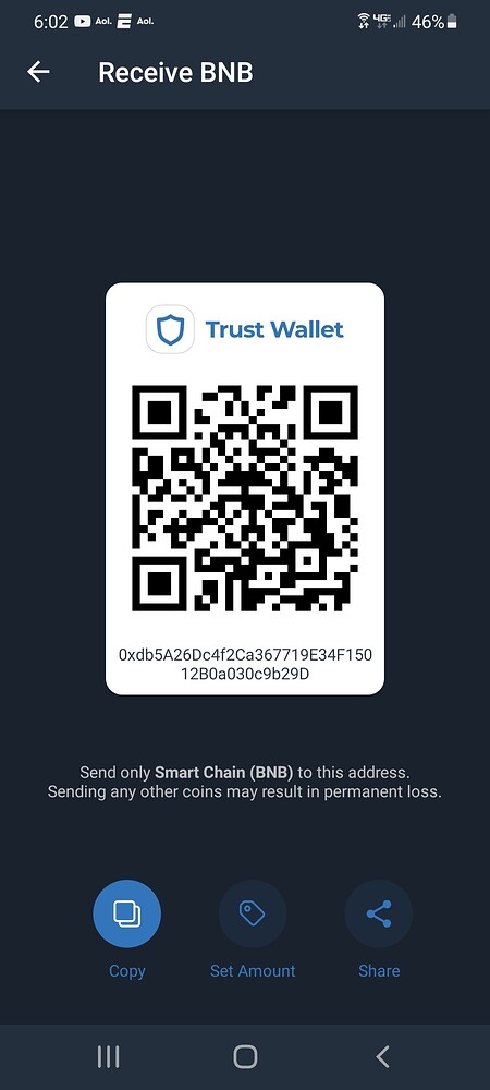 nft art not showing in trust wallet