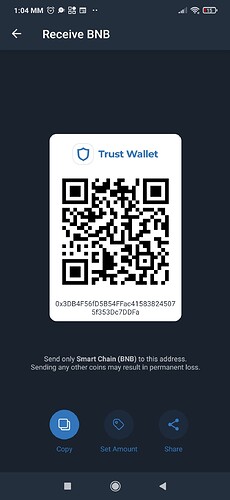 Screenshot_2021-11-22-13-04-25-146_com.wallet.crypto.trustapp