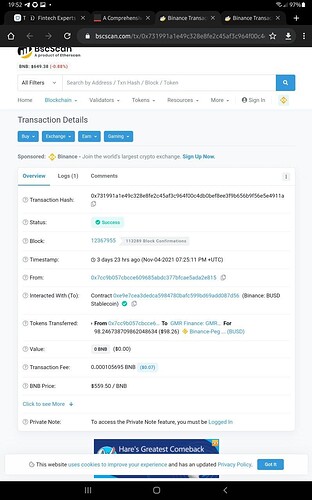Transfer of BUSD to GMR wallet