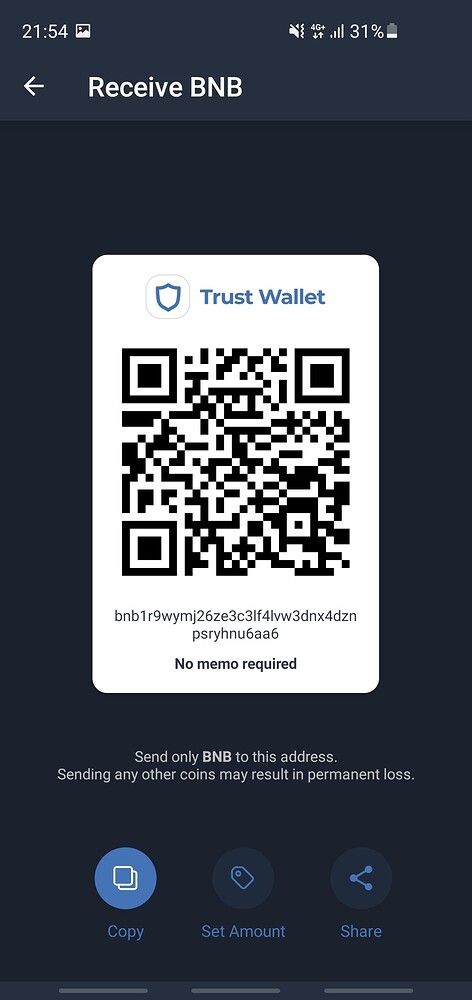 BNB received but not showing on Wallet Balance - English - Trust Wallet