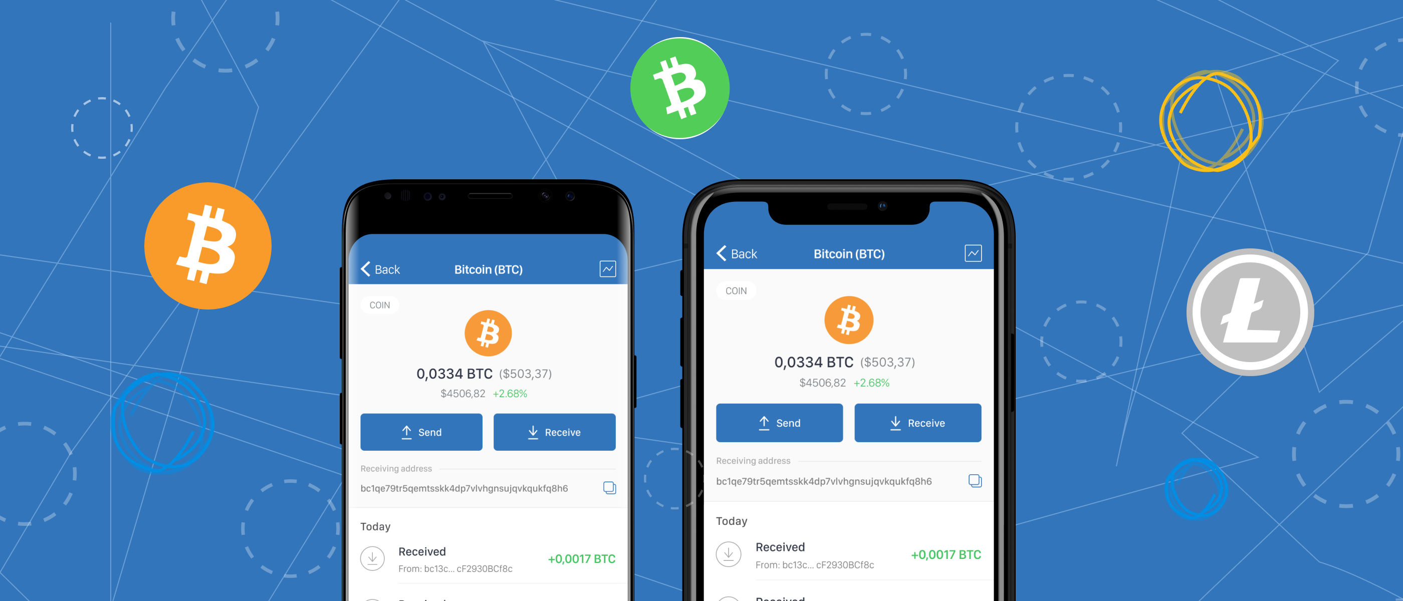 receive bitcoin in litecoin wallet