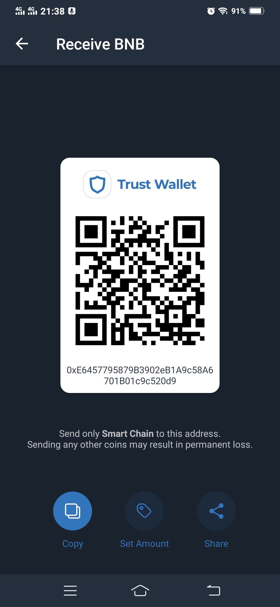 Sent BNB from Binance to Trust Wallet’s BNB, turns out, I ...